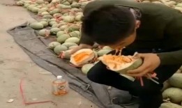 吃哈密瓜过瘾,一尝倾心，回味无穷的甜蜜诱惑