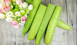 儿童夏天吃太多瓜