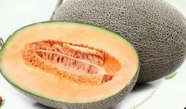 吃哈密瓜嗓子痒怎么办,哈密瓜嗓子痒的应对小妙招