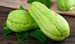 吃瓜山下湖,探寻湖光山色中的美食故事