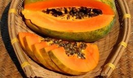 2023吃瓜入口免费,免费入口带你领略年度焦点