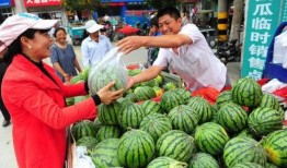 鹿邑全民吃瓜网络