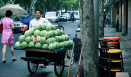 吃瓜群众上海,吃瓜群众的美食盛宴与都市生活剪影