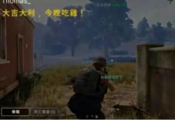 吃鸡瓜仔,揭秘游戏背后的瓜界风云