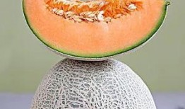 儿童夏天吃太多瓜