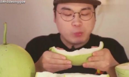 韩国吃葫芦蜜瓜,葫芦蜜瓜的独特魅力探索