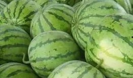 吃瓜甜搞笑,揭秘娱乐圈那些让人捧腹大笑的幕后故事