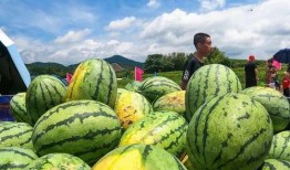 梁山吃瓜最新,揭秘梁山好汉们的日常娱乐生活