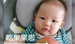 小胖墩吃瓜视频,趣味横生的美食之旅