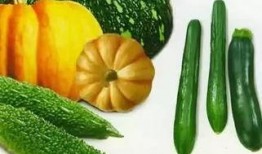 吃瓜泄漏的危害