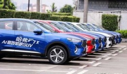 长城汽车吃瓜,揭秘汽车界的“吃瓜”风云