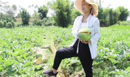 婶子回家吃瓜,揭秘乡村趣事