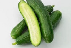 乳瓜咋泡着吃,解锁夏日清新口感