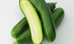 乳瓜咋泡着吃,解锁夏日清新口感