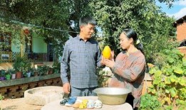 广西老婆摘瓜吃,一场别开生面的田园生活体验