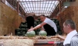 陕西兄妹吃瓜,夏日田园欢乐多