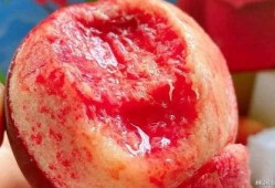 吃桃后可以吃瓜吗,吃桃后，美味瓜果的完美续曲