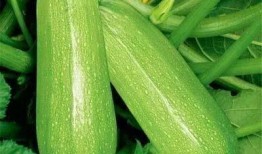 周大福吃瓜,揭秘珠宝界的“瓜田”风云