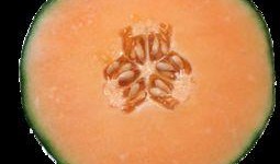 哈密瓜网纹瓜例假可以吃吗,经期女性适宜食用的美味佳果