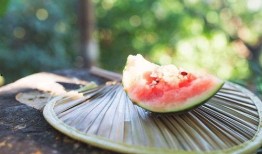 2023吃瓜入口免费,免费入口带你领略年度焦点