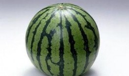 胖达在线吃瓜,揭秘娱乐圈幕后风云