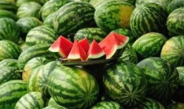 河北翻窗吃瓜,一场别开生面的夏日风情