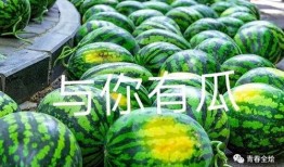 陕西兄妹吃瓜,夏日田园欢乐多