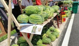 梁山吃瓜最新,揭秘梁山好汉们的日常娱乐生活