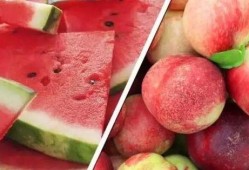 吃瓜 西果 桃家,一场别开生面的美食之旅