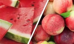 吃瓜 西果 桃家,一场别开生面的美食之旅