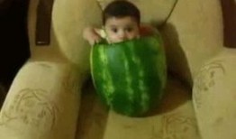 免费吃瓜在想观看,揭秘热门话题背后的精彩故事