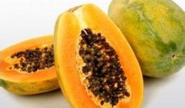 吃吊瓜血压升高吗,揭秘吊瓜对血压的影响