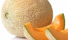 吃瓜群众哈密瓜面包,吃瓜群众的甜蜜新宠