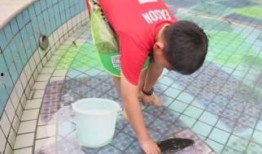 小鬼现场吃瓜,揭秘娱乐圈幕后真相