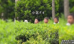 吃瓜网友小叶,揭秘娱乐圈那些不为人知的幕后故事