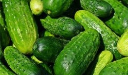 梦见吃煮的小瓜,煮瓜飘香，揭秘潜意识中的美食诱惑