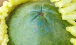 面瓜坏了吃有毒吗