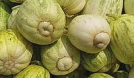 德润吃瓜,揭秘娱乐圈幕后故事