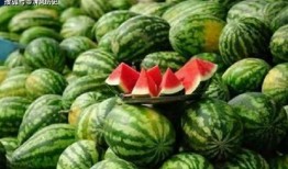 hg杰爷吃瓜,揭秘hg杰爷吃瓜背后的娱乐风云