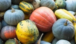 立志吃瓜,揭秘娱乐圈的甜蜜与苦涩