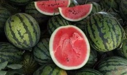 江西一瓜两吃,传统美食的创新演绎