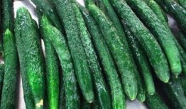 921吃瓜在线,揭秘娱乐圈幕后故事