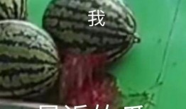 最美吃瓜在线,揭秘网络红人的美食之旅