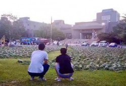 濮阳范县吃瓜事件,一场引发热议的网络狂欢与反思