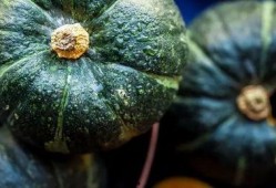 胖达在线吃瓜,揭秘娱乐圈幕后风云