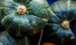 胖达在线吃瓜,揭秘娱乐圈幕后风云