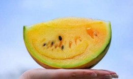 吃瓜吃好瓜,尽享吃瓜好时光