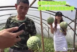 吃瓜群众 直播圈子