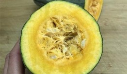 吃瓜10.com,网络热点的聚集地与风向标