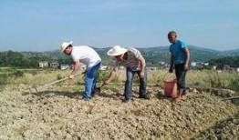 濮阳范县吃瓜事件,一场引发热议的网络狂欢与反思